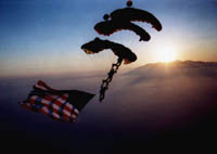 Flags.JPG (7614 bytes)
