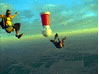 img35.gif (5584 bytes)