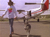 img38.gif (5502 bytes)