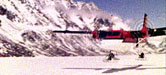 Baf10.JPG (10878 bytes)