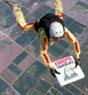 Imos.JPG (8193 bytes)